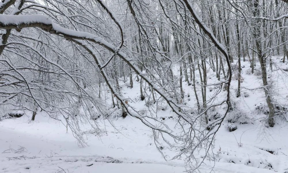Φλώρινα: Χιόνι στο Πισοδέρι εν μέσω Άνοιξης